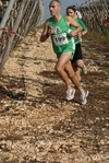 gall_764.jpg