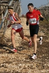 gall_768.jpg