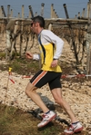 gall_771.jpg