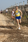 gall_774.jpg