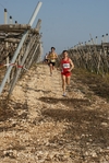 gall_785.jpg