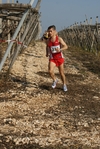 gall_786.jpg