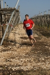 gall_809.jpg