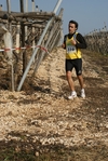 gall_812.jpg
