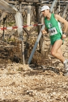 gall_817.jpg