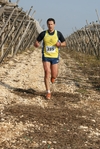 gall_820.jpg