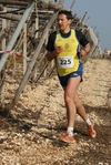 gall_822.jpg