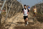 gall_837.jpg