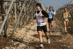 gall_838.jpg