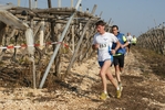 gall_849.jpg