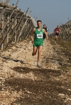 gall_856.jpg