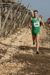 gall_857.jpg