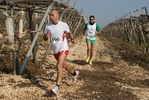 gall_866.jpg