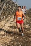 gall_878.jpg