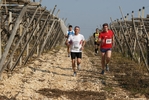 gall_890.jpg