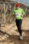 gall_916.jpg