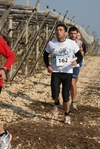 gall_920.jpg