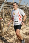 gall_946.jpg