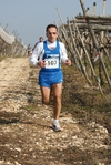 gall_956.jpg