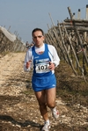 gall_957.jpg