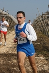 gall_958.jpg