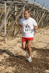 gall_961.jpg
