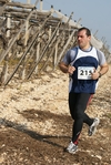 gall_965.jpg