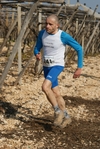 gall_978.jpg