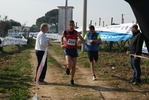 gall_1164.jpg
