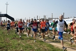 gall_1367.jpg