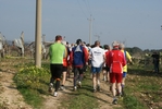 gall_1380.jpg