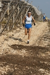 gall_1384.jpg