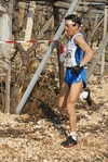 gall_1387.jpg