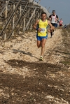 gall_1395.jpg