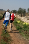 gall_1410.jpg