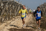 gall_1413.jpg