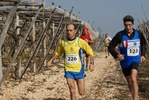 gall_1414.jpg
