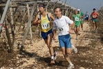 gall_1423.jpg
