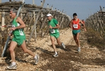 gall_1426.jpg