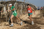gall_1427.jpg