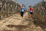 gall_1428.jpg