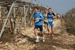 gall_1432.jpg