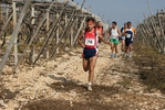 gall_1436.jpg