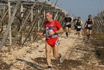 gall_1443.jpg