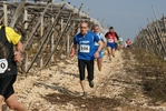 gall_1446.jpg