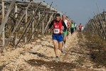 gall_1448.jpg
