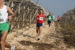 gall_1450.jpg