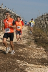 gall_1458.jpg