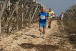 gall_1462.jpg
