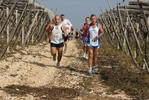 gall_1467.jpg